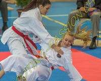 1KARATE - 0301